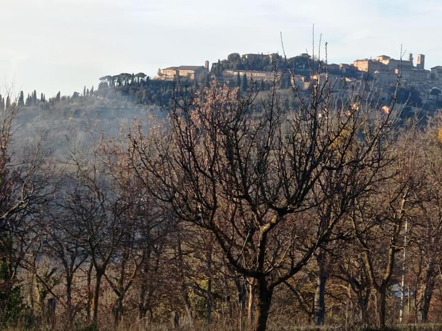 Splendido Ampio Appartamento A Montepulciano Stazione Exterior foto